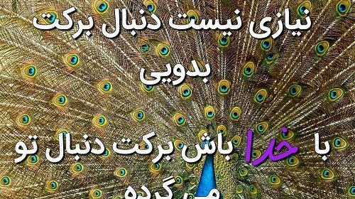 عکس نوشته علی برکت الله