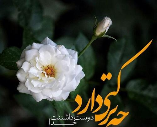 عکس نوشته علی برکت الله