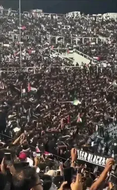 عکس زیبای علی انصاریان