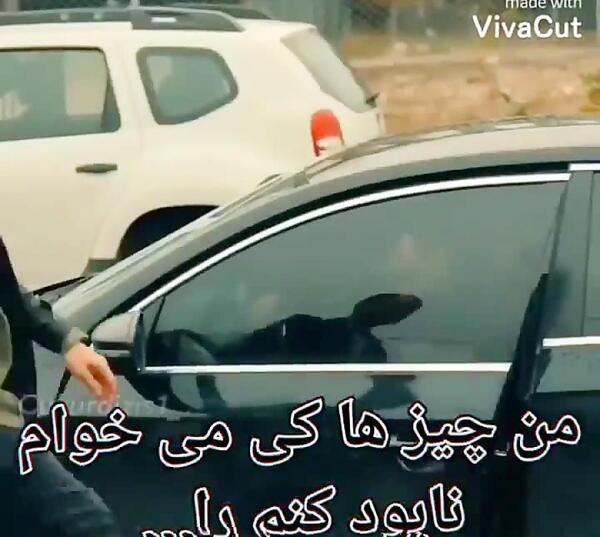عکس همه ی میراکلس ها