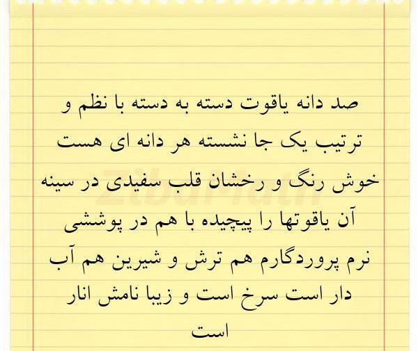 عکس کتاب صد دانه یاقوت