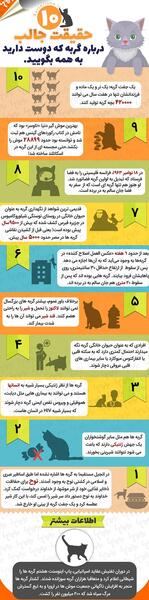 عکس نوشته عاشقانه گربه