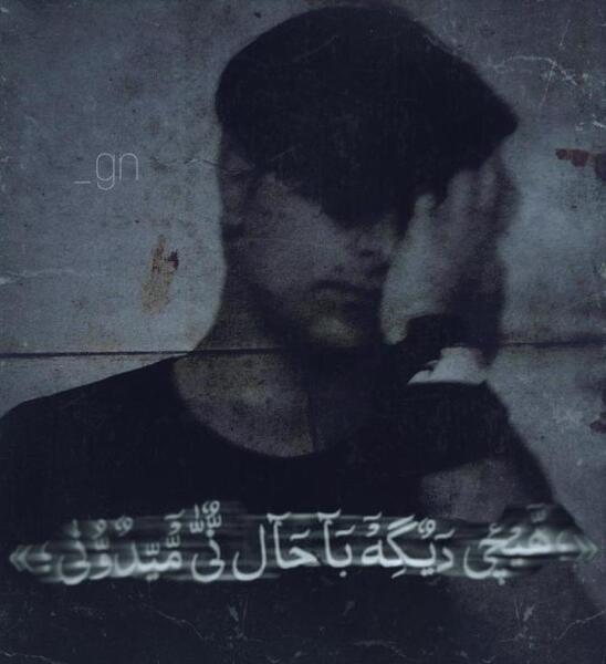 عکس موش چوبی
