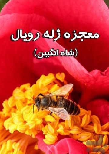 عکس ژله رویال
