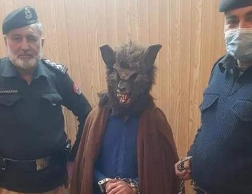 عکس گرگ آدم خوار واقعی