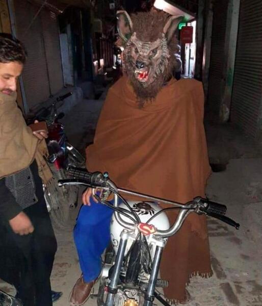 عکس گرگ آدم خوار واقعی