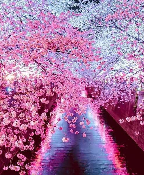 عکس طبیعت بهار