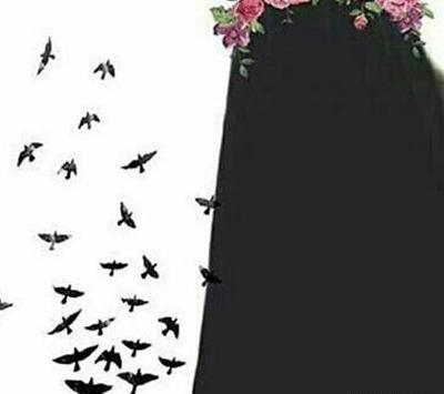 عکس گربه روی کتاب