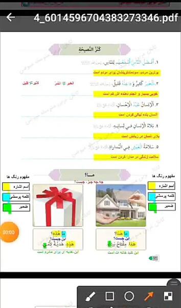 عکس گربه روی کتاب
