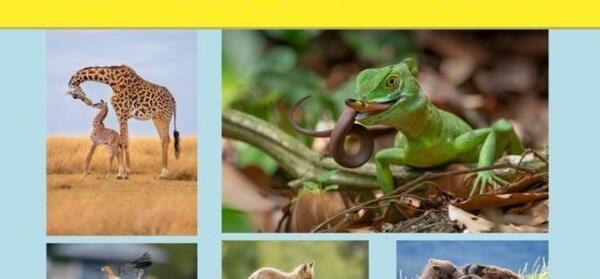 عکس های جالب شگفت انگیز
