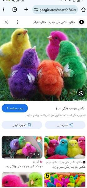 عکس جوجه عروسکی