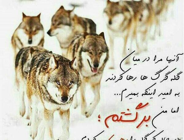 عکس برای وضعیت واتساپ پسرانه