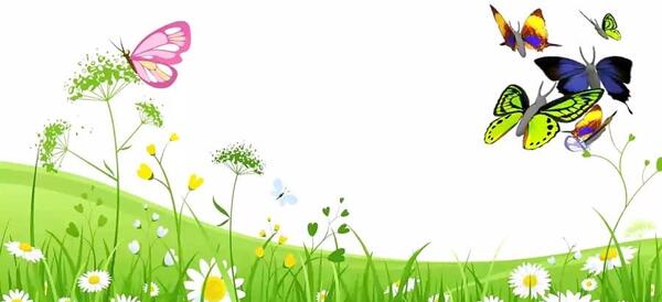 عکس ذوزنقه ها
