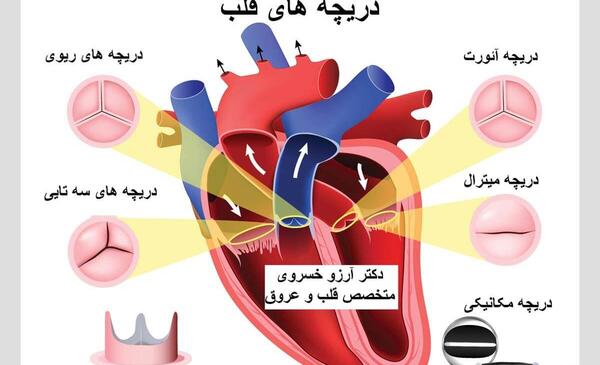 عکس قلبی سمانه