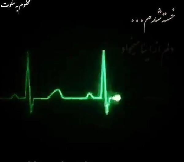 عکس نوشته دلم کربلا می خواهد