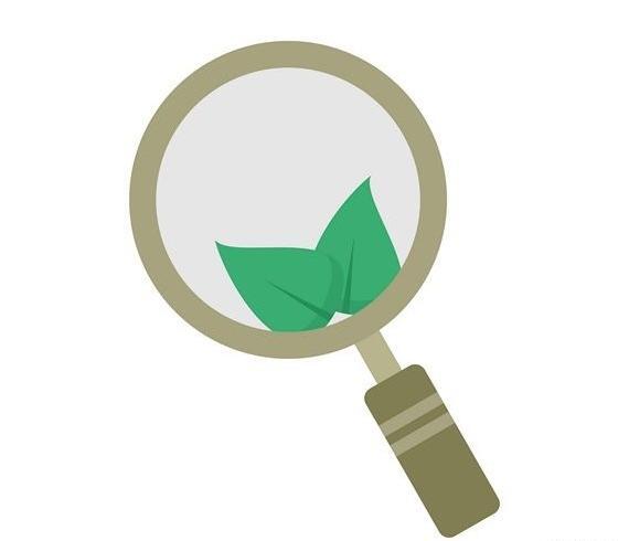 عکس شپش زیر ذره بین