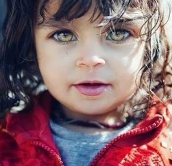 زیباترین عکس چشم گریان