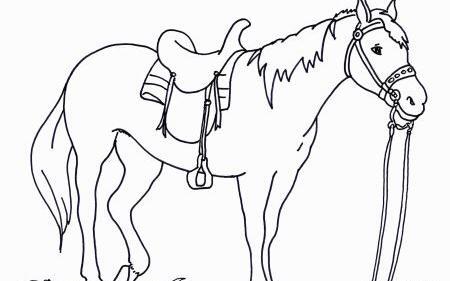 عکس دایناسور نقاشی ساده