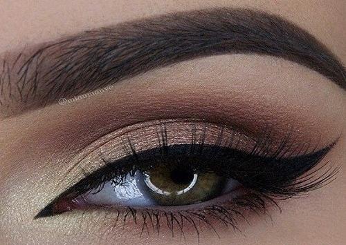 عکس اسب تک شاخ مرده