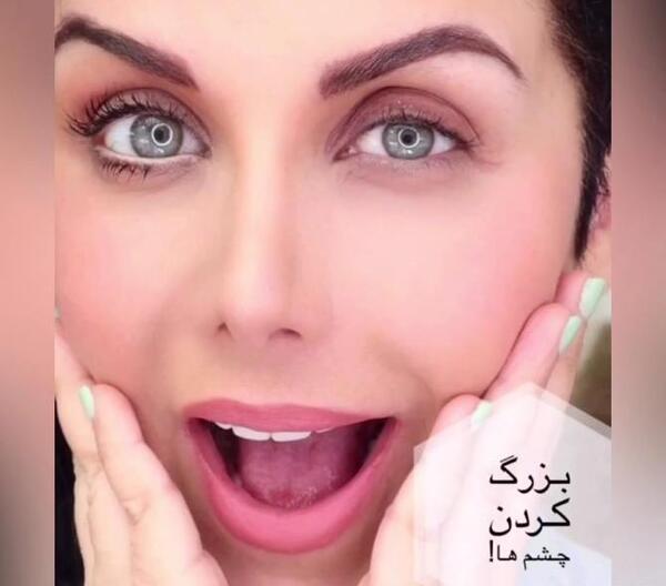 عکس اسب تک شاخ مرده