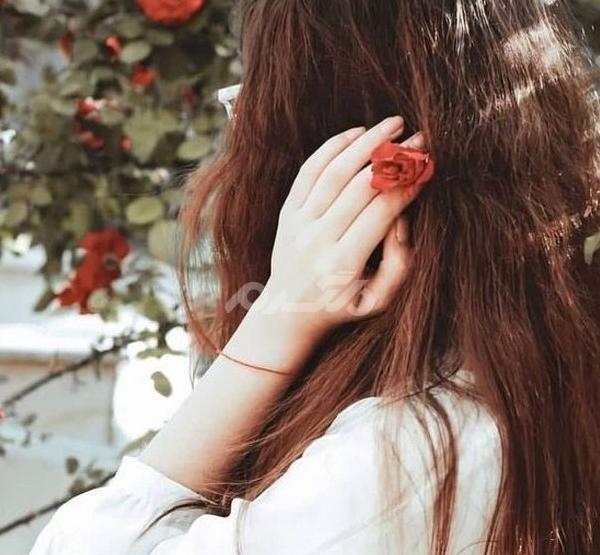 عکس اسب تک شاخ مرده