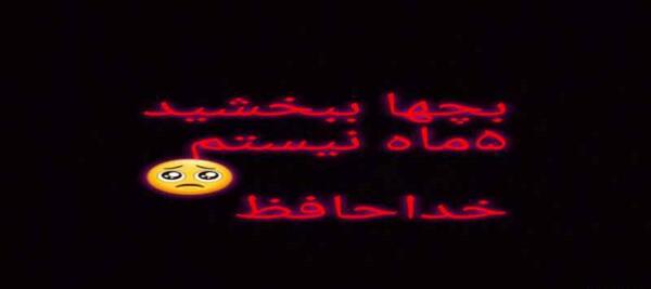 عکس پروفایل شاخ نیستم چون گاو نیستم