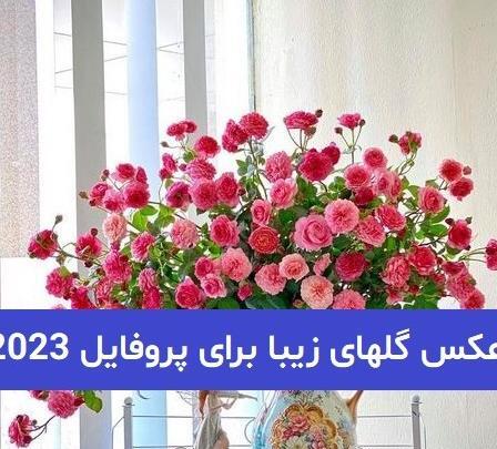عکس پروفایل خاص ارامش