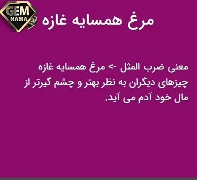 عکس نقاشی ضرب المثل مرغ همسایه غاز است