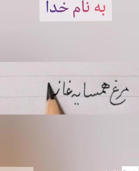 عکس نقاشی ضرب المثل مرغ همسایه غاز است