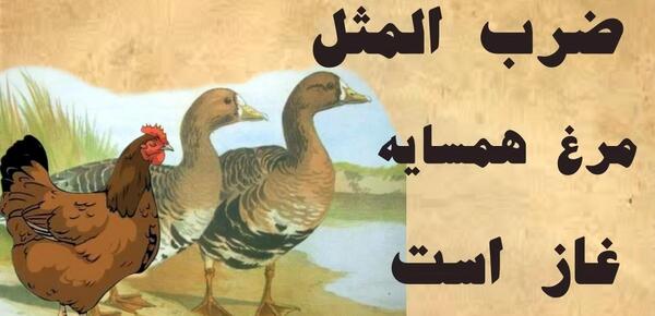 عکس نقاشی ضرب المثل مرغ همسایه غاز است