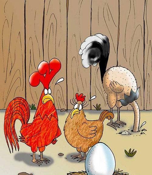 عکس نقاشی ضرب المثل مرغ همسایه غاز است