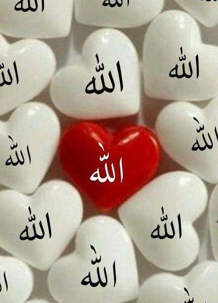 عکس پروفایل ضربان قلب خدا