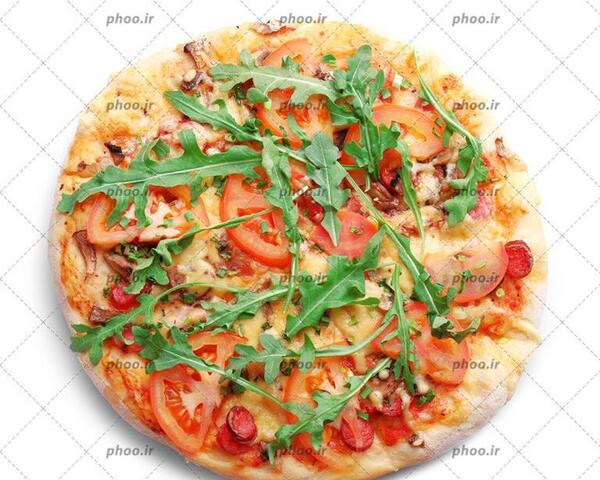 عکس پیتزا غزال حکیمیه