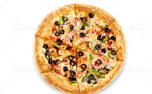 عکس پیتزا غزال حکیمیه