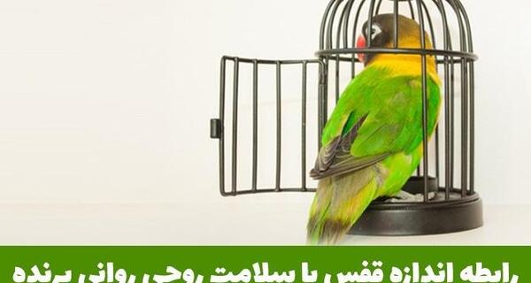 عکس طوطی توی قفس