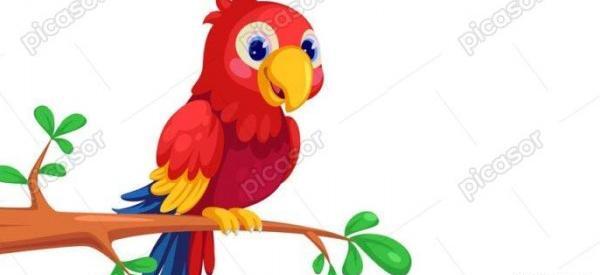 عکس طوطی توی قفس
