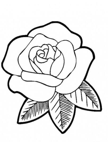 عکس نقاشی ساده و زیبا گل