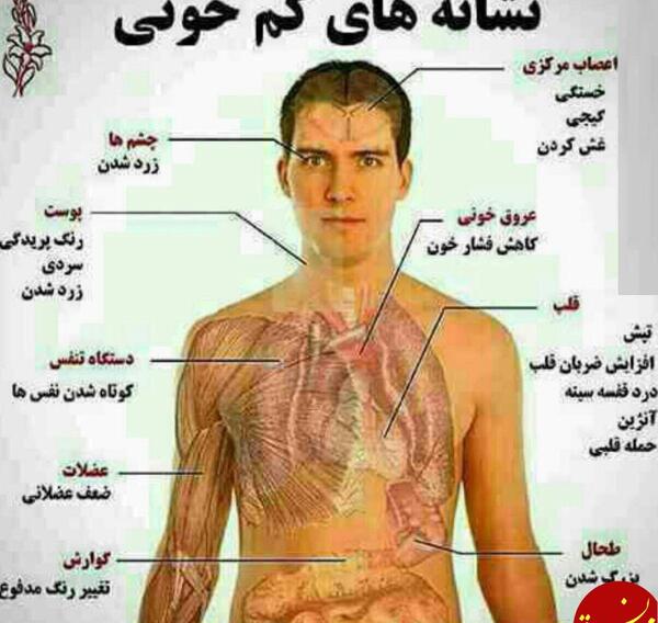 عکس ضحی در نی نی سایت