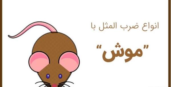 عکس ضرب المثل موش تو سوراخ نمیرفت جارو به دمش میبست
