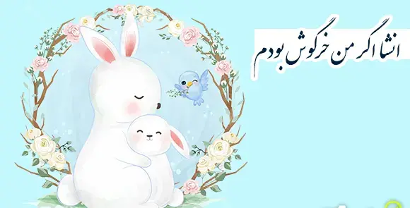 عکس ضرب المثل موش تو سوراخ نمیرفت جارو به دمش میبست
