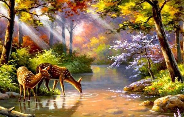 عکس گل طبیعی برای نقاشی
