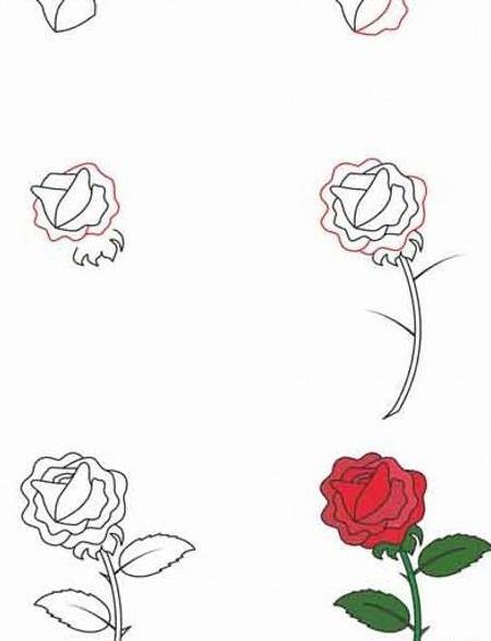 عکس گل طبیعی برای نقاشی