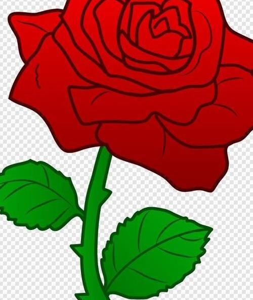 عکس گل طبیعی برای نقاشی