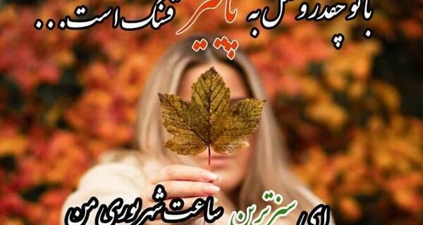 عکس طوطی و طاووس