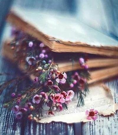 عکس برای پروفایل هنری