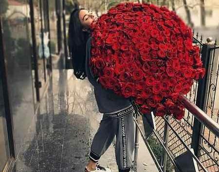 عکس شاخ دخترونه قرمز