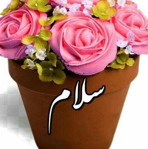 عکس سلام ظهرتون بخیر دوستان