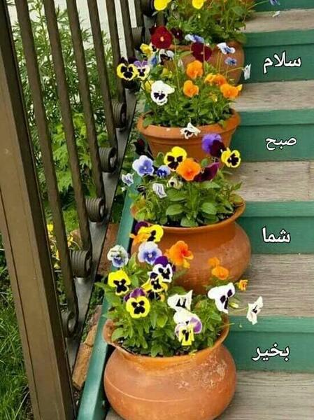 عکس ارشا اقدسی در سلام صبح بخیر
