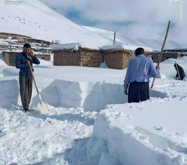 عکس بارش و الناز