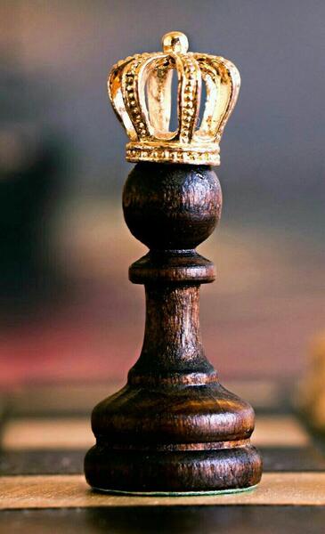 عکس زمینه شطرنج